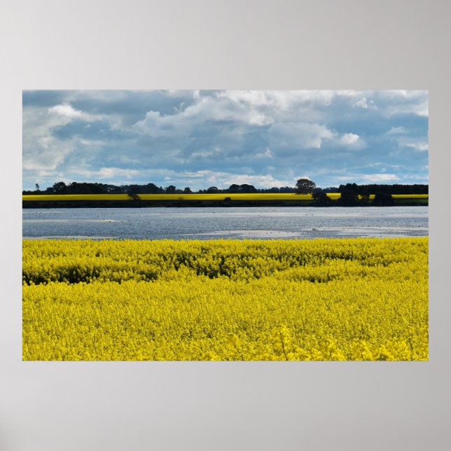 Poster Bela Streatham Dramática (Frente)