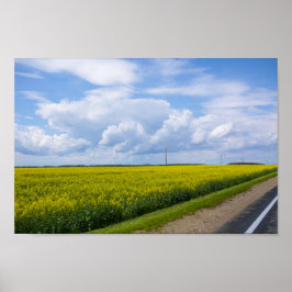 Poster Belarus Road Canola Fields Flowers Sky