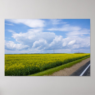 Poster Belarus Road Canola Fields Flowers Sky