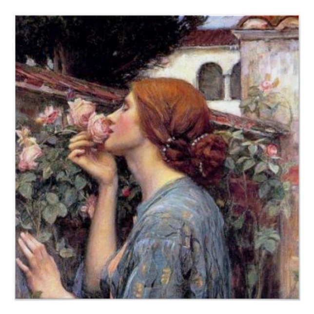 Pôster Belas Artes A Alma do Rosa Poster (Frente)