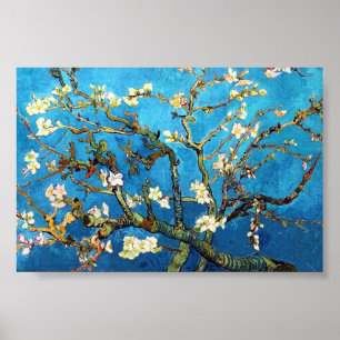 Poster Belas artes de florescência da árvore de amêndo