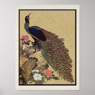 Poster Belas artes do japonês do vintage do pavão e das