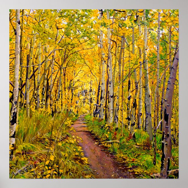 Poster Belas Árvores de Aspen em Esplendor de Outono (Frente)
