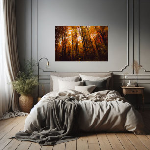 Poster Belas Árvores Majestosas na Floresta de Outono
