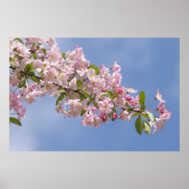 Poster Belas flores cor-de-rosa no pomar
