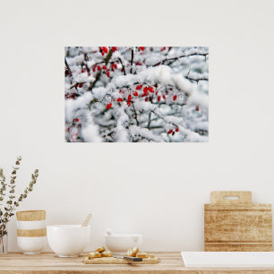 Poster Belas frutas vermelhas e neve