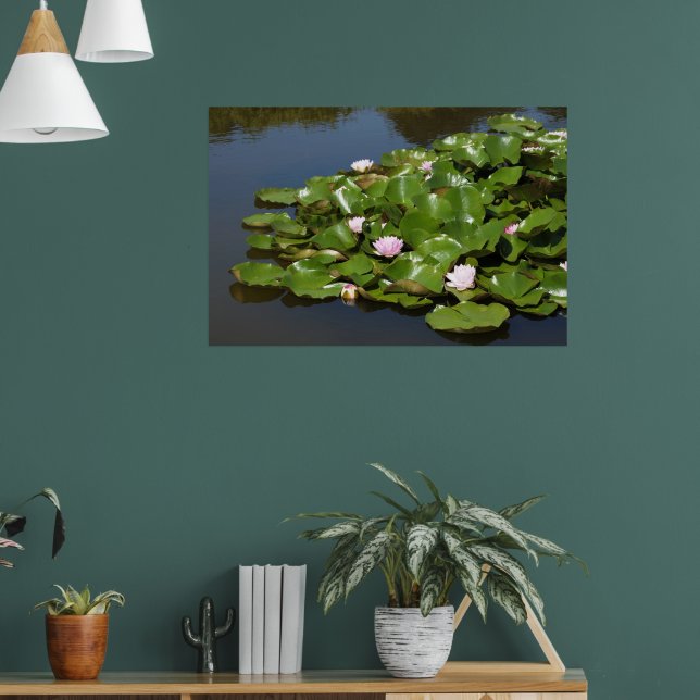 Poster Belas nenúfares cor-de-rosa (Sala de Estar 1)