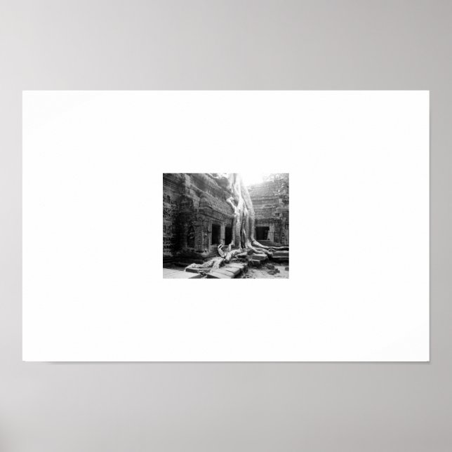 Poster Belas Raízes - Angkor Wats - Camboja (Frente)