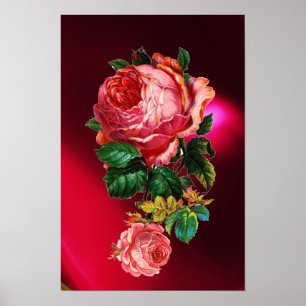 PÔSTER BELAS ROSAS ROSADAS
