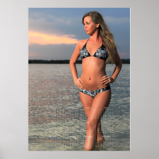 Pôster Beldades Costeiras da Carolina: Cartaz do Calendár