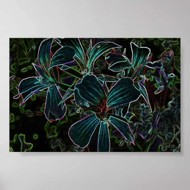 Poster beleza  (Frente)