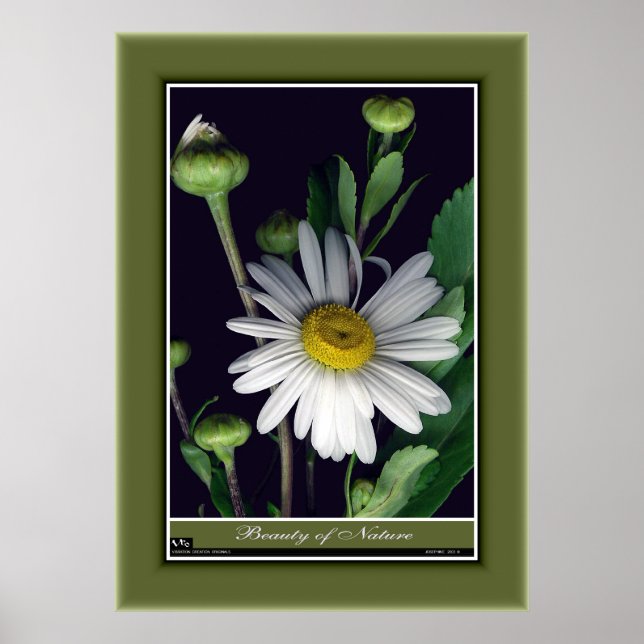 Pôster Beleza da Natureza r/p12 (Frente)