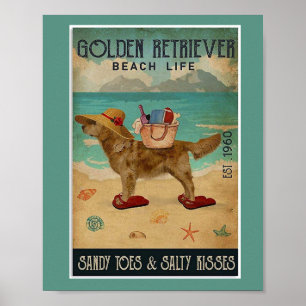 Poster Beleza da praia do ouro Retriever