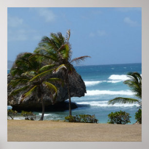 Pôster Beleza de Barbados