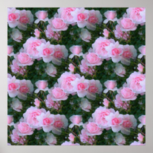 Poster Beleza delicada…