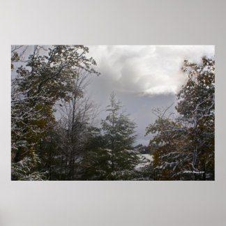 Pôster Beleza do Dia da cinza