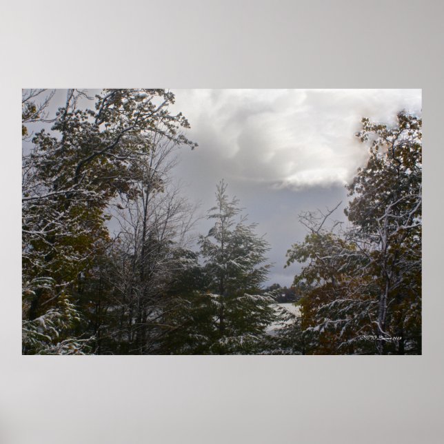 Pôster Beleza do Dia da cinza (Frente)