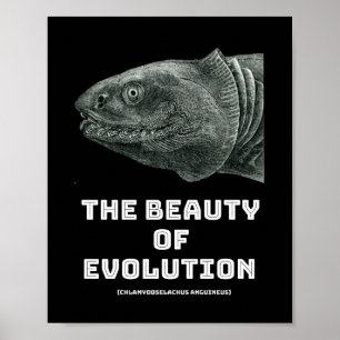 Poster Beleza do tubarão evolutivo