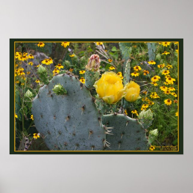 Pôster Beleza e Besta (Frente)