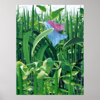 Poster Beleza e bestas