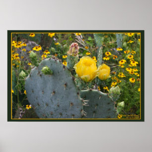 Pôster Beleza e o animal