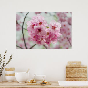Poster Beleza Japonesa, Floral Rosa Cereja Blossomo