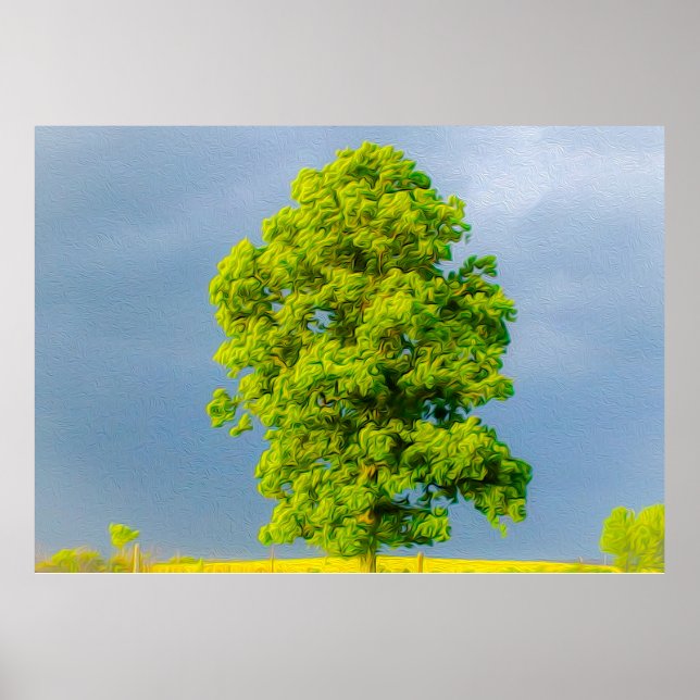 Poster Beleza na Tempestade (Frente)