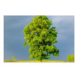 Pôster Beleza na Tempestade