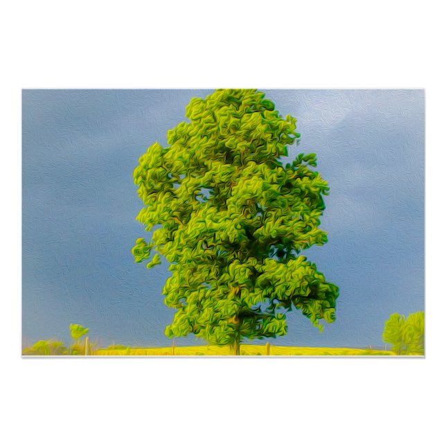 Pôster Beleza na Tempestade (Frente)