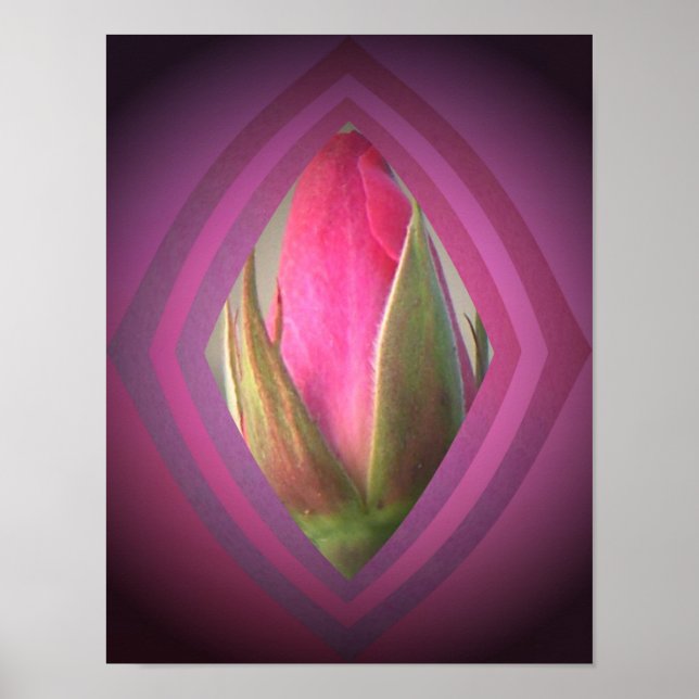 Pôster Beleza nas Sombras (Frente)