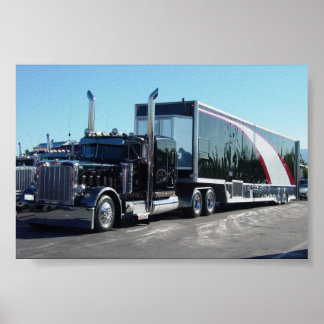 Pôster Beleza Negra