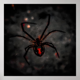 Poster Beleza Negra