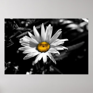 Pôster Beleza no verão