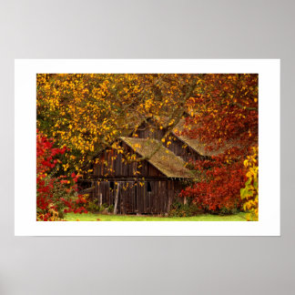 Poster Beleza oculta.