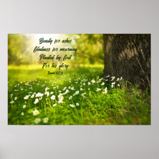 Poster Beleza para Ashes