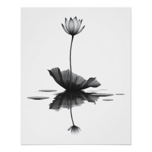 Pôster Beleza Pura Lotus