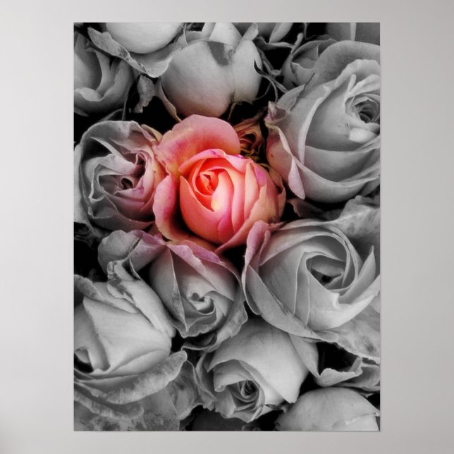 Pôster Beleza Única (Frente)