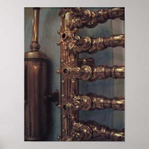 Poster Belezas de cobre