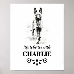 Poster Belga Malinois Life é o melhor nome personalizado 