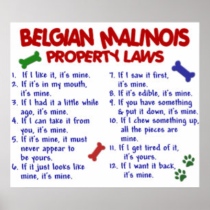 PÔSTER BELGA MALINOIS PL2
