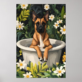 Poster Belgian Malinois In Bathtub Poster, Funny Dog