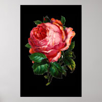 BELÍSSIMA ROSA PINK