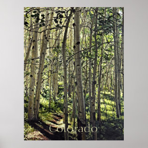 Poster Belíssimo Bosque de Álamo Americano em Crested But