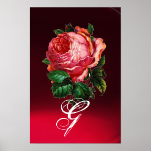 POSTER BELÍSSIMO MONOGRAMA DE ROSA ROSA