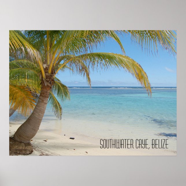 Poster Belize Beach e Palms, ilha de Caribes Tropicais (Frente)