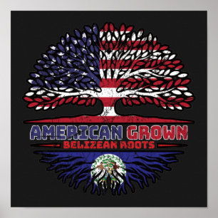 Poster Belize, Belizean, EUA, EUA, Árvore dos Estados Uni