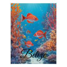 Belize Coral Reef Travel Poster
