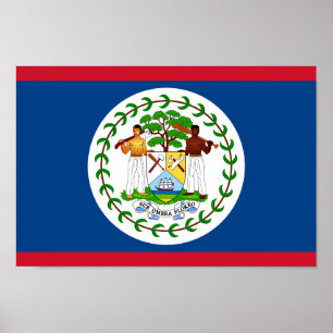 Poster Belize National World Flag