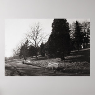 Poster Bell Vue Park, Newport, Mon (Dez. 1977)