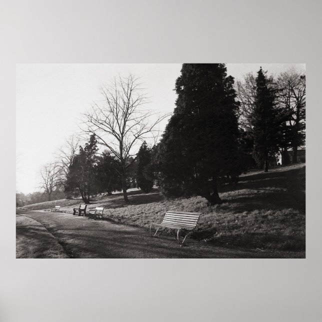 Poster Bell Vue Park, Newport, Mon (Dez. 1977) (Frente)